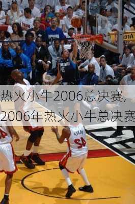 热火小牛2006总决赛,2006年热火小牛总决赛