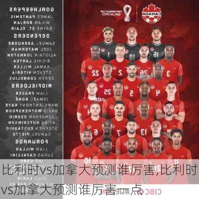 比利时vs加拿大预测谁厉害,比利时vs加拿大预测谁厉害一点