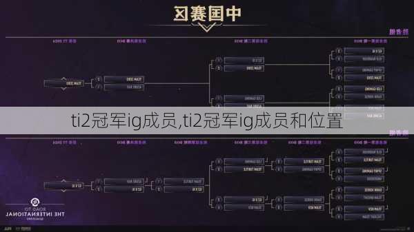 ti2冠军ig成员,ti2冠军ig成员和位置