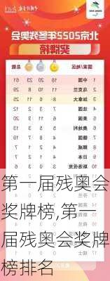 第一届残奥会奖牌榜,第一届残奥会奖牌榜排名