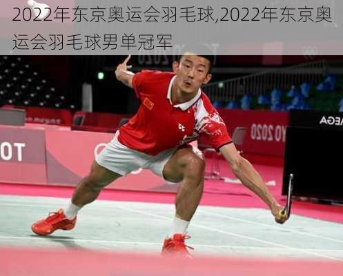 2022年东京奥运会羽毛球,2022年东京奥运会羽毛球男单冠军
