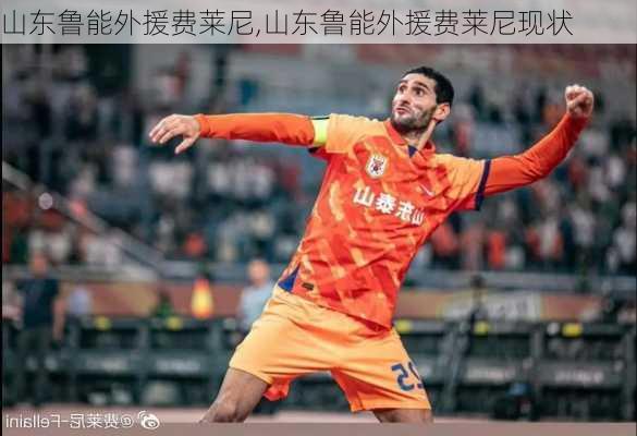 山东鲁能外援费莱尼,山东鲁能外援费莱尼现状