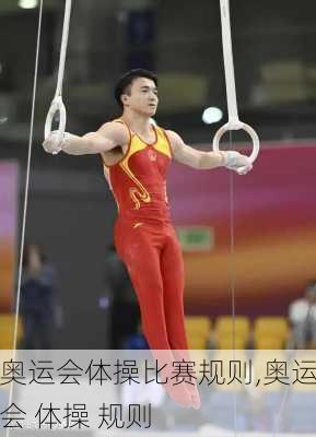 奥运会体操比赛规则,奥运会 体操 规则