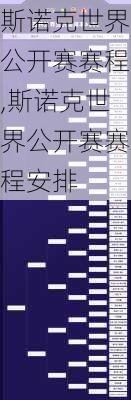 斯诺克世界公开赛赛程,斯诺克世界公开赛赛程安排