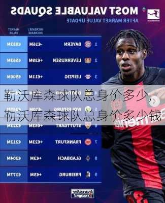 勒沃库森球队总身价多少,勒沃库森球队总身价多少钱