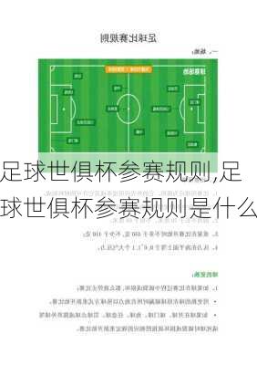 足球世俱杯参赛规则,足球世俱杯参赛规则是什么