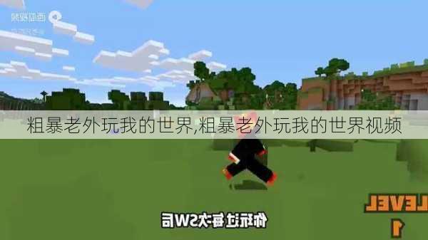 粗暴老外玩我的世界,粗暴老外玩我的世界视频