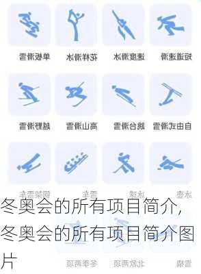 冬奥会的所有项目简介,冬奥会的所有项目简介图片