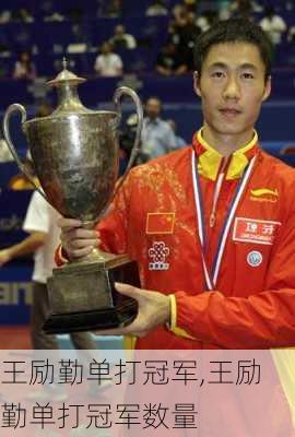 王励勤单打冠军,王励勤单打冠军数量