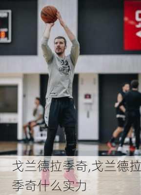 戈兰德拉季奇,戈兰德拉季奇什么实力