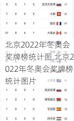 北京2022年冬奥会奖牌榜统计图,北京2022年冬奥会奖牌榜统计图片