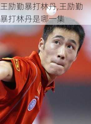王励勤暴打林丹,王励勤暴打林丹是哪一集