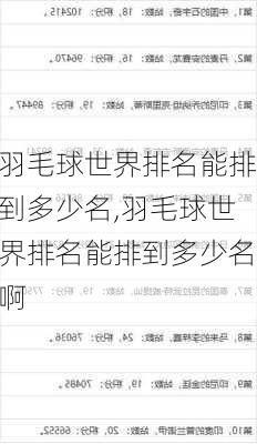 羽毛球世界排名能排到多少名,羽毛球世界排名能排到多少名啊