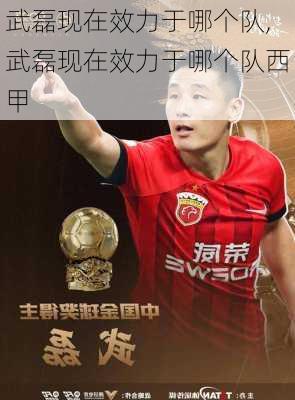 武磊现在效力于哪个队,武磊现在效力于哪个队西甲