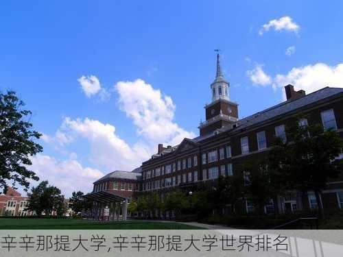 辛辛那提大学,辛辛那提大学世界排名