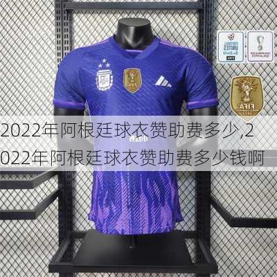 2022年阿根廷球衣赞助费多少,2022年阿根廷球衣赞助费多少钱啊
