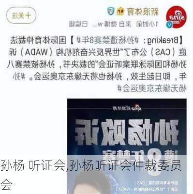 孙杨 听证会,孙杨听证会仲裁委员会