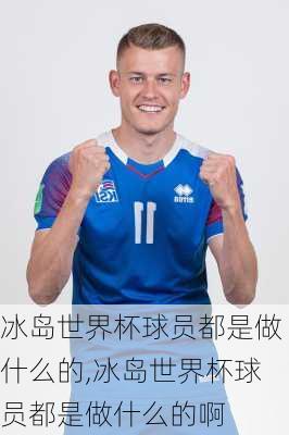 冰岛世界杯球员都是做什么的,冰岛世界杯球员都是做什么的啊