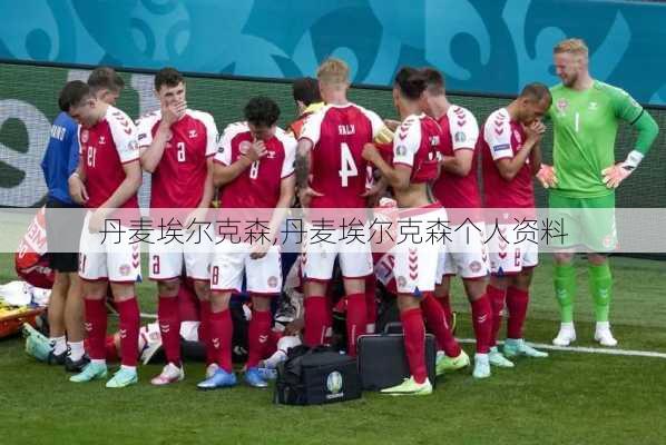 丹麦埃尔克森,丹麦埃尔克森个人资料