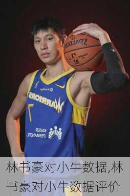 林书豪对小牛数据,林书豪对小牛数据评价