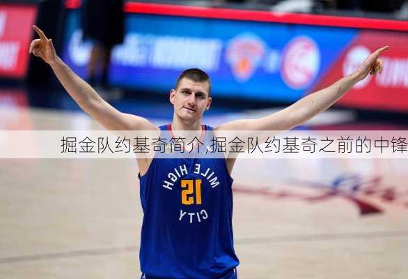 掘金队约基奇简介,掘金队约基奇之前的中锋