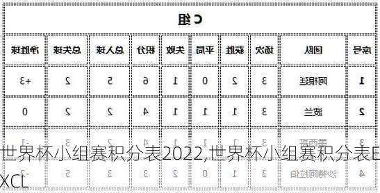 世界杯小组赛积分表2022,世界杯小组赛积分表EXCL