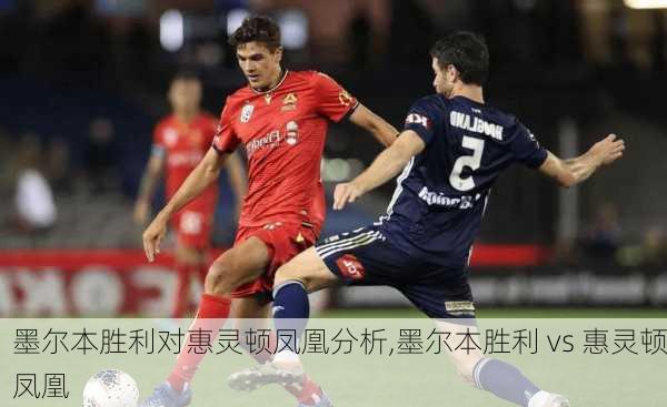 墨尔本胜利对惠灵顿凤凰分析,墨尔本胜利 vs 惠灵顿凤凰