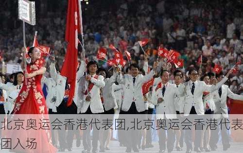 北京奥运会香港代表团,北京奥运会香港代表团入场