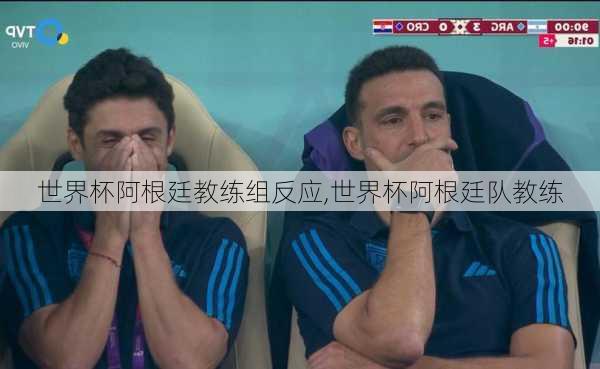 世界杯阿根廷教练组反应,世界杯阿根廷队教练