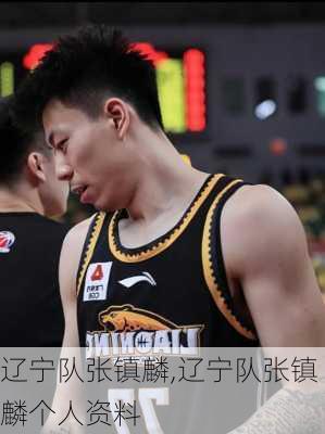 辽宁队张镇麟,辽宁队张镇麟个人资料