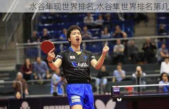 水谷隼现世界排名,水谷隼世界排名第几