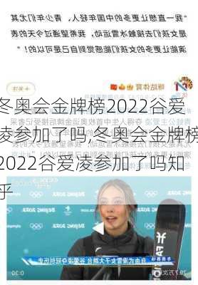 冬奥会金牌榜2022谷爱凌参加了吗,冬奥会金牌榜2022谷爱凌参加了吗知乎