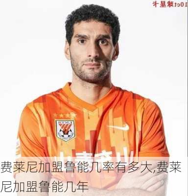 费莱尼加盟鲁能几率有多大,费莱尼加盟鲁能几年