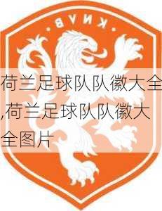 荷兰足球队队徽大全,荷兰足球队队徽大全图片