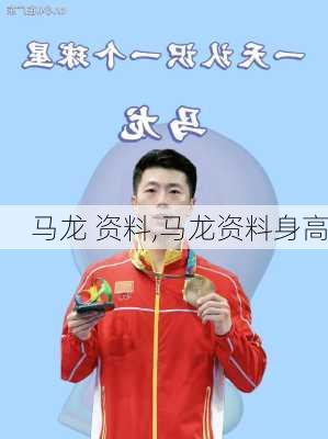 马龙 资料,马龙资料身高