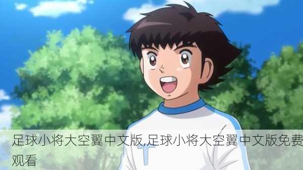 足球小将大空翼中文版,足球小将大空翼中文版免费观看