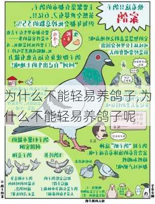为什么不能轻易养鸽子,为什么不能轻易养鸽子呢