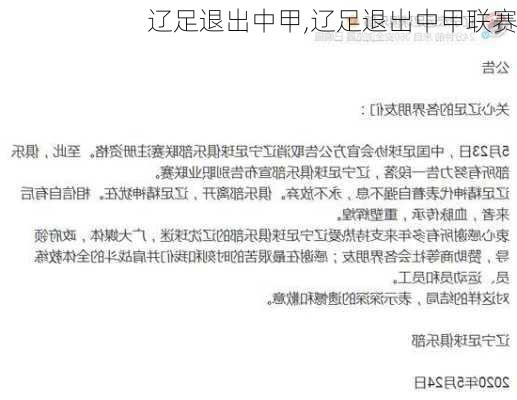 辽足退出中甲,辽足退出中甲联赛