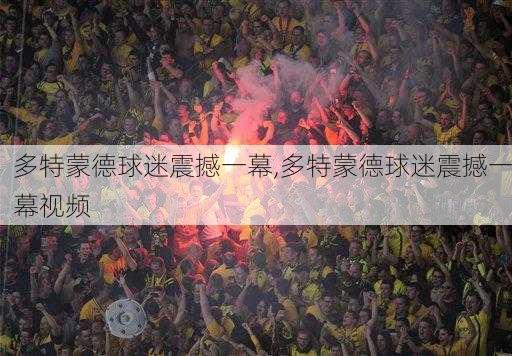 多特蒙德球迷震撼一幕,多特蒙德球迷震撼一幕视频