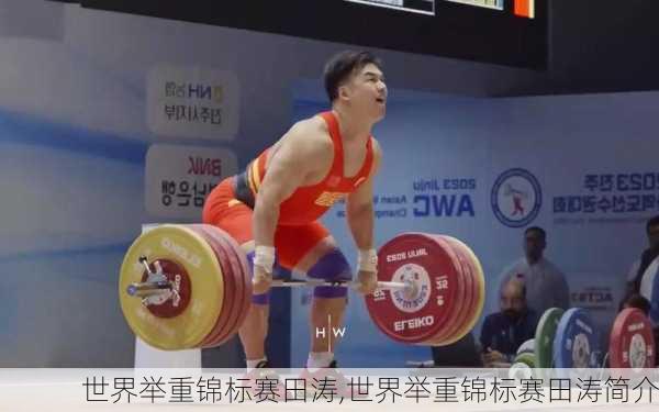 世界举重锦标赛田涛,世界举重锦标赛田涛简介