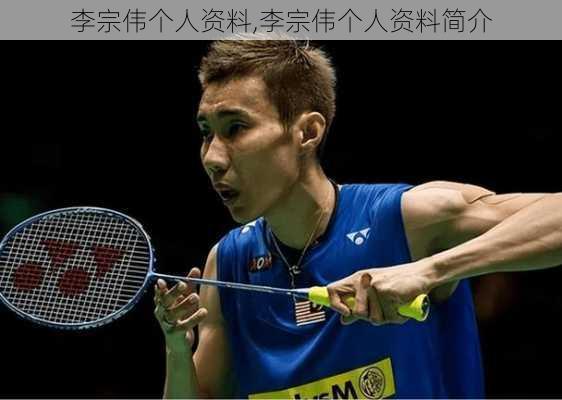 李宗伟个人资料,李宗伟个人资料简介