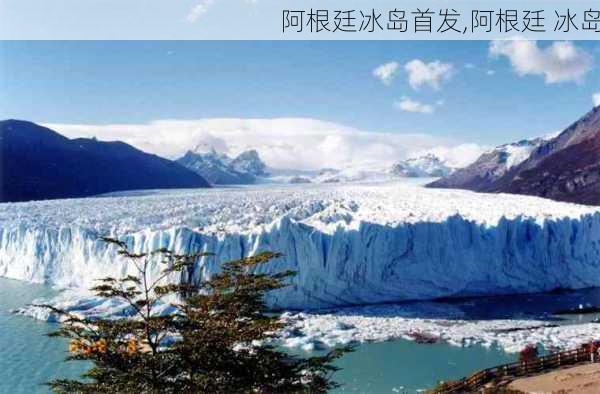 阿根廷冰岛首发,阿根廷 冰岛