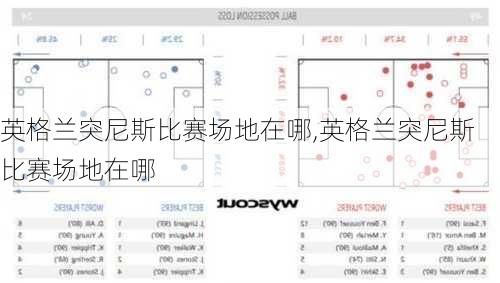 英格兰突尼斯比赛场地在哪,英格兰突尼斯比赛场地在哪