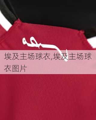 埃及主场球衣,埃及主场球衣图片