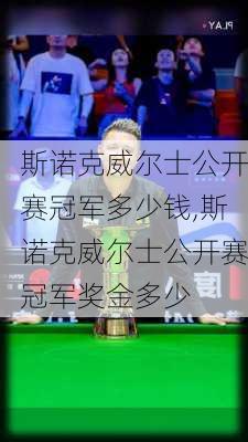 斯诺克威尔士公开赛冠军多少钱,斯诺克威尔士公开赛冠军奖金多少