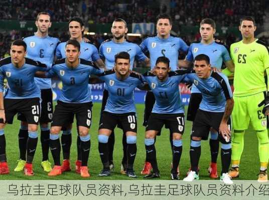 乌拉圭足球队员资料,乌拉圭足球队员资料介绍