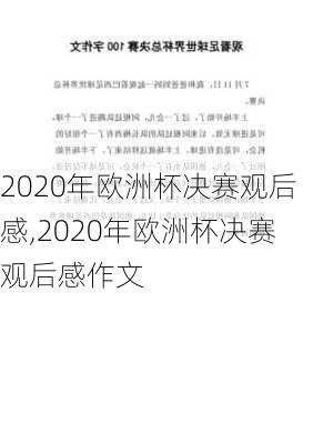 2020年欧洲杯决赛观后感,2020年欧洲杯决赛观后感作文