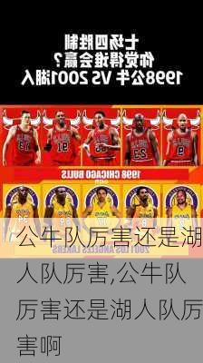 公牛队厉害还是湖人队厉害,公牛队厉害还是湖人队厉害啊
