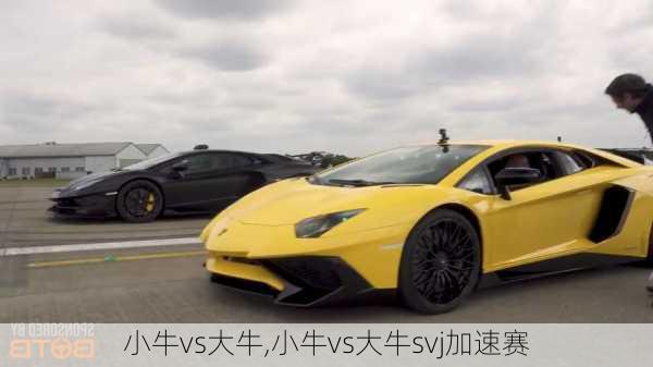 小牛vs大牛,小牛vs大牛svj加速赛