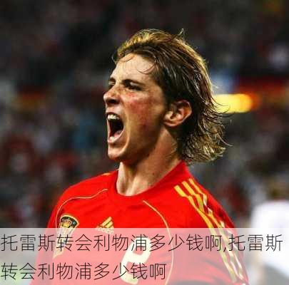 托雷斯转会利物浦多少钱啊,托雷斯转会利物浦多少钱啊